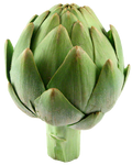 Real Life Artichoke