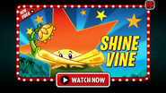 An advertisement of Shine Vine