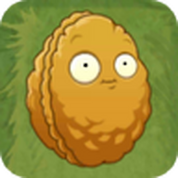 Plants vs. Zombies 2: Wall Nut - Walls 360