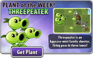 Threepeater featured as Plant of the Week