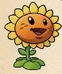 Sunflowderp