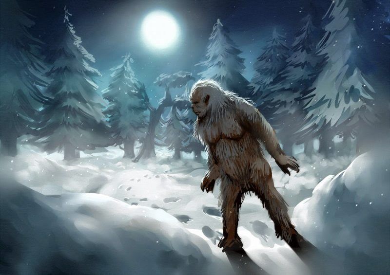 Yeti Catch - Microsoft Apps