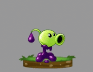 Animation of Goo peashooter after defeating a zombie