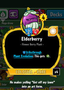 Elderberry's statistics