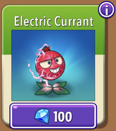 Electric Currant in the store (10.6.2)