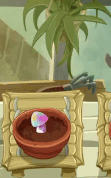 Hypno-shroom being watered (animated, 10.5.2)