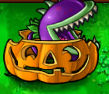 Chomper in Pumpkin