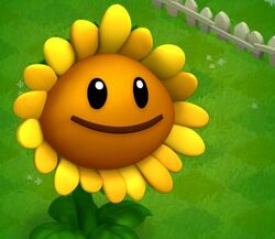 Sunflower (Plants Vs. Zombies) - Zerochan Anime Image Board