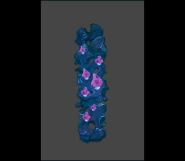 Environment animation (animated)