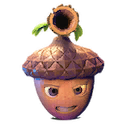 Acorn's icon