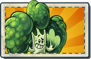 Blockoli's boosted seed packet