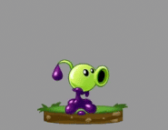 Another Idle animation of Goo Peashooter (note: It is blinking now)