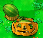 Melon-pult in a Pumpkin