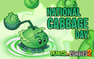 National Cabbage Day