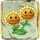 Twin Sunflower2.png