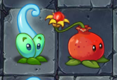 Magic Vine next to Pomegranate in Normal Mode