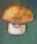 Sun-shroom in the DS version