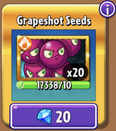 Grapeshot's seeds in the store (9.7.1, Gold)