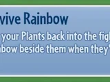 Revive Rainbow
