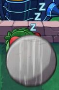Rolling Stone being used on Hibernating Beary