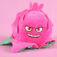 Dragonfruit plush  (Unsourced)