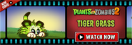 Tiger Grass in another advertisement