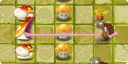 Toadstool's range at level 3