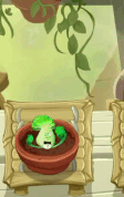 Bonk Choy (Bow Tie) being watered (animated, 10.5.2)