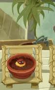 Bzzz Button being watered in the Zen Garden