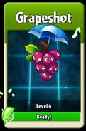 Grapeshot when it is ready to level up
