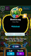 Bloomerang's statistics