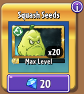 Squash's seeds in the store (9.6.1, Gold)