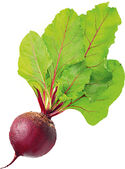 Beet PNG