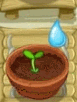 Sprout Watering