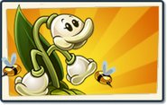 MayBee's boosted seed packet