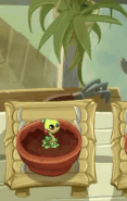 Being watered in the Zen Garden (animated)