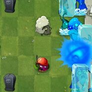 A Wizard Zombie gets frozen by Ice Bloom while transforming a plant