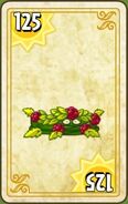 Endless Zone card (Level 1-2)