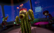 Cactus in a promotional video