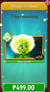 Dandelion's seeds in the store (12.3.1, Promoted)