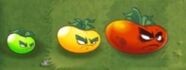 All three of Ultomato's growth phases