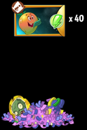 Obtaining Mangofier's seed packets from a piñata (11.6.1)