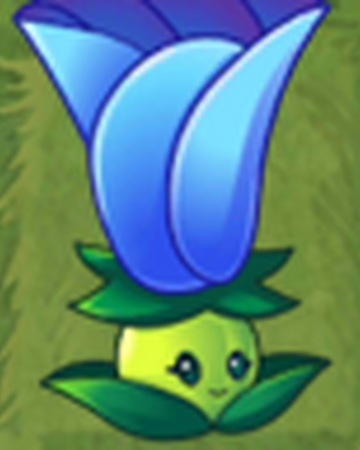 月光花 植物大战僵尸百科 Fandom 月光花 植物大战僵尸百科 Fandom