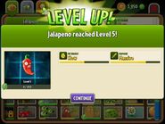 Jalapeno being upgraded to Level 5