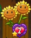 Twin Sunflower with the Untrickable trait due to Umbrella Leaf's ability