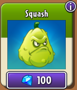 Squash in the new store