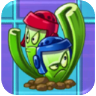 Celery Stalker (red and blue boxing headgear)