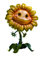 A render of Sunflower