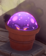 Doom-shroom hiding