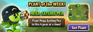 Mega Gatling Pea featured as Plant of the Week (2025, Main Menu)